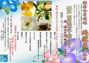 ��ι�Ʋ� 26��ǯ���̲��ʡ١����դ����ơ�