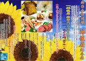 ��ι�Ʋ� ��ڥ��ڥ�����˥塼��