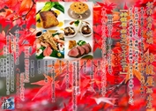 ��ι�Ʋ� ��ڥ��ڥ�����˥塼��