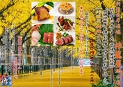 ��ι�Ʋ� ����Ĺ���ڥ�����