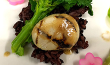 北海道産の帆立貝と黒米添え 脳細胞の代謝機能を高める白味噌のソース